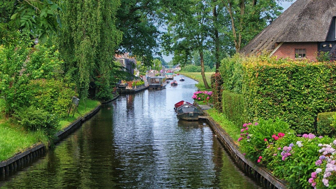 casting horn, water, boating, nature, the weeding, landscape, nature reserve, nature, nature, nature, nature, nature, landscape, landscape, landscape, nature reserve, nature reserve, nature reserve, nature reserve, nature reserve