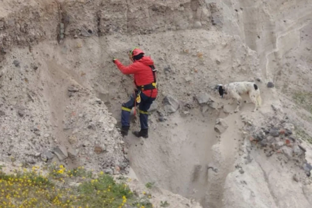 διασωση σκυλου