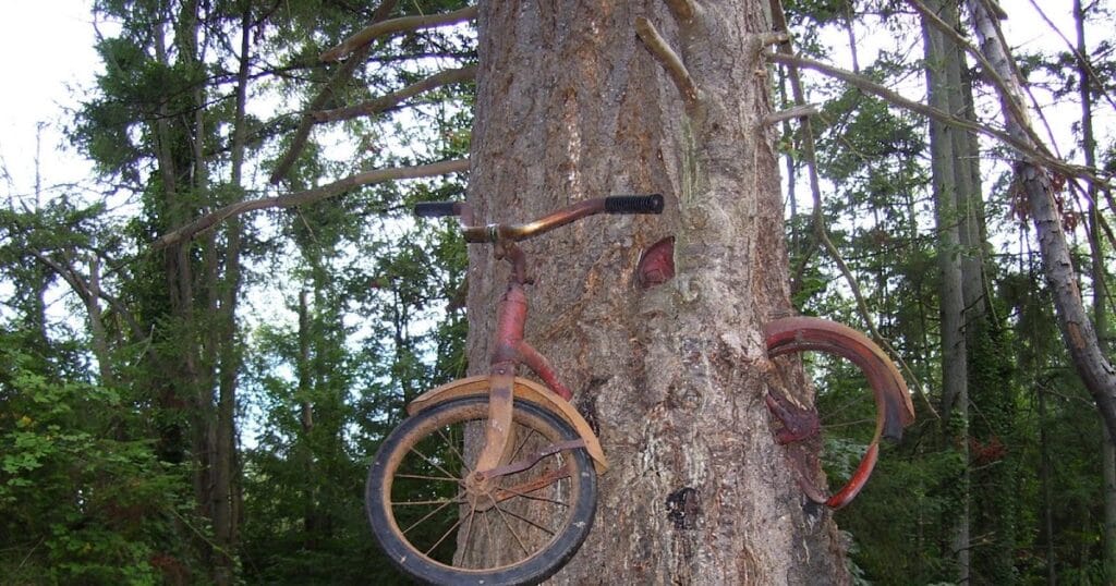 Η εικόνα του ποδηλάτου μέσα στον κορμό έχει τροφοδοτήσει πολλές φήμες.