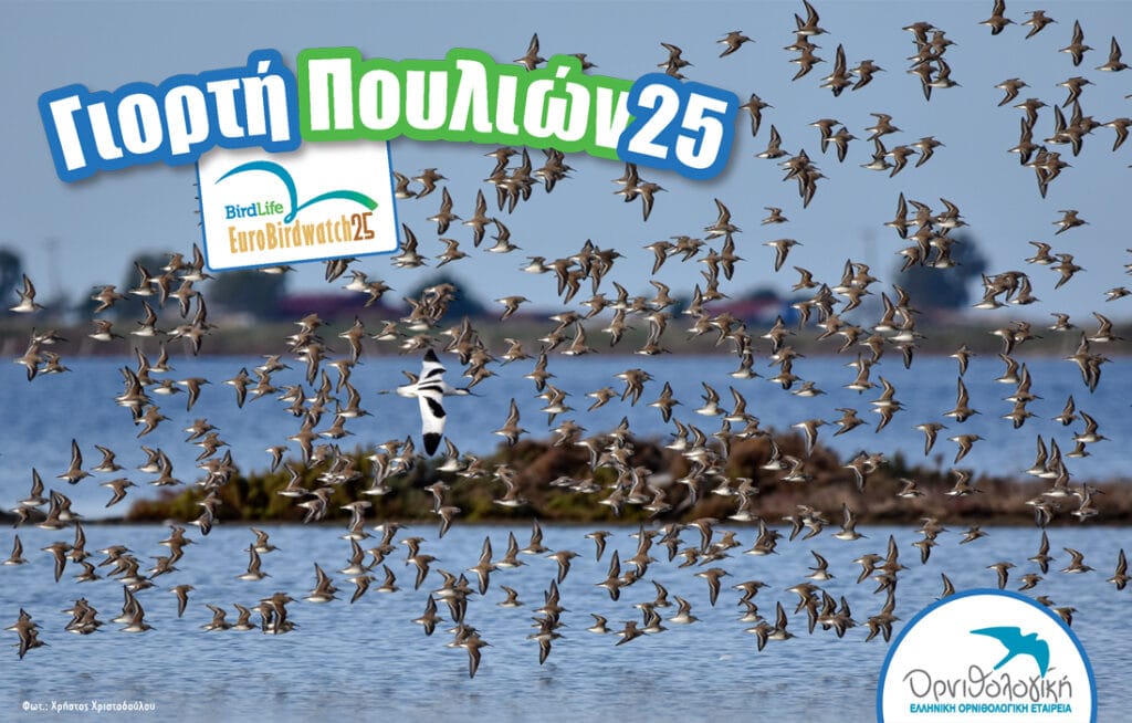 Γιορτή των Πουλιών 2025 στο Κερατσίνι
