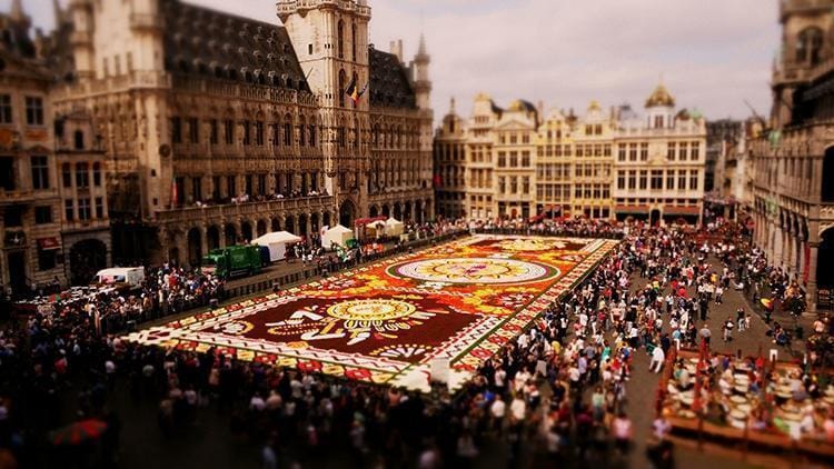 Χαλί λουλουδιών στις Βρυξέλλες: Ένα ζωντανό έργο τέχνης