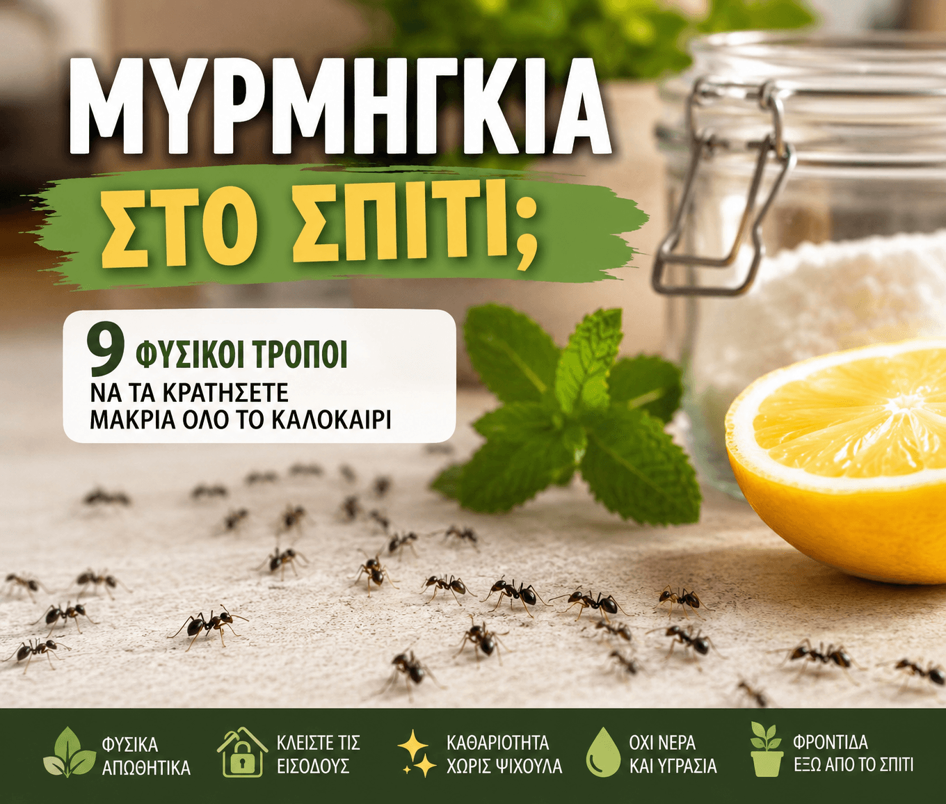 Μυρμήγκια στο Σπίτι;